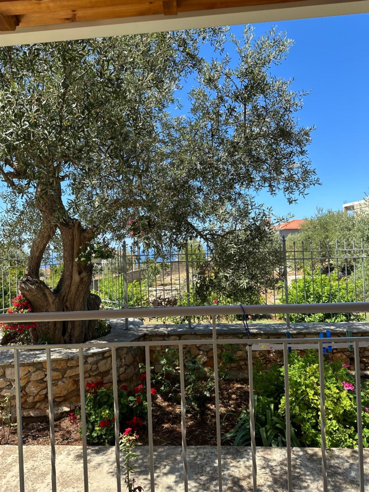 Anna House Dhermi Exterior photo